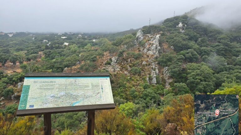 Sendero del Río Guadalmesí: Aventura Natural en Cádiz